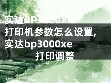 實(shí)達(dá)BP3000XE打印機(jī)參數(shù)怎么設(shè)置,實(shí)達(dá)bp3000xe打印調(diào)整