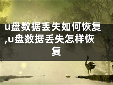 u盤數(shù)據(jù)丟失如何恢復(fù),u盤數(shù)據(jù)丟失怎樣恢復(fù)