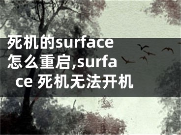 死機(jī)的surface怎么重啟,surface 死機(jī)無法開機(jī)