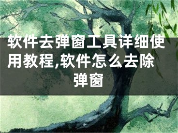 軟件去彈窗工具詳細(xì)使用教程,軟件怎么去除彈窗