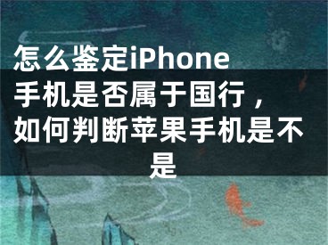 怎么鑒定iPhone手機是否屬于國行 ,如何判斷蘋果手機是不是