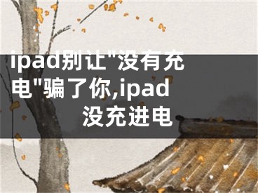 ipad別讓"沒有充電"騙了你,ipad沒充進電