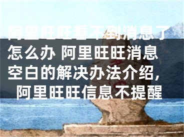 阿里旺旺看不到消息了怎么辦 阿里旺旺消息空白的解決辦法介紹,阿里旺旺信息不提醒