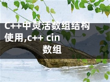 C++中靈活數(shù)組結(jié)構(gòu)使用,c++ cin 數(shù)組