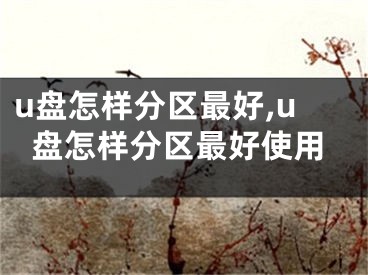 u盤怎樣分區(qū)最好,u盤怎樣分區(qū)最好使用