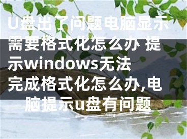 U盤出了問題電腦顯示需要格式化怎么辦 提示windows無法完成格式化怎么辦,電腦提示u盤有問題