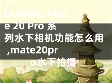 HUAWEI Mate 20 Pro 系列水下相機(jī)功能怎么用 ,mate20pro水下拍攝