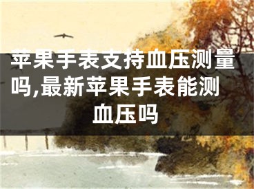 蘋果手表支持血壓測量嗎,最新蘋果手表能測血壓嗎