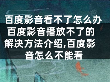 百度影音看不了怎么辦 百度影音播放不了的解決方法介紹,百度影音怎么不能看