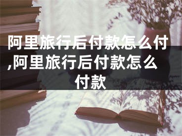 阿里旅行后付款怎么付,阿里旅行后付款怎么付款