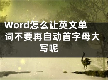 Word怎么讓英文單詞不要再自動首字母大寫呢 