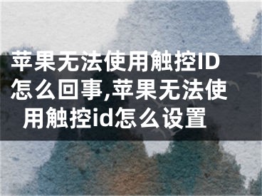 蘋果無法使用觸控ID怎么回事,蘋果無法使用觸控id怎么設置