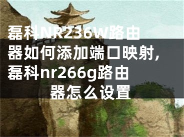 磊科NR236W路由器如何添加端口映射,磊科nr266g路由器怎么設(shè)置