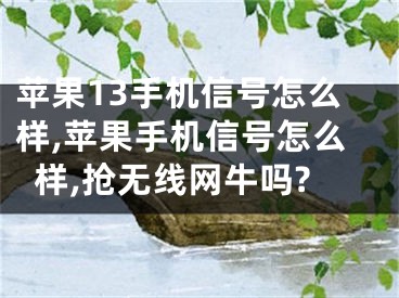 蘋果13手機信號怎么樣,蘋果手機信號怎么樣,搶無線網牛嗎?