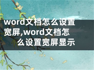 word文檔怎么設(shè)置寬屏,word文檔怎么設(shè)置寬屏顯示