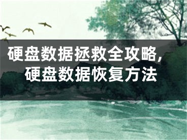 硬盤數(shù)據(jù)拯救全攻略,硬盤數(shù)據(jù)恢復(fù)方法