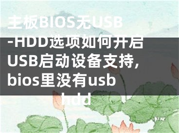 主板BIOS無USB-HDD選項如何開啟USB啟動設備支持,bios里沒有usb hdd