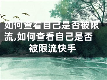 如何查看自己是否被限流,如何查看自己是否被限流快手