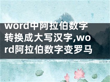 word中阿拉伯?dāng)?shù)字轉(zhuǎn)換成大寫漢字,word阿拉伯?dāng)?shù)字變羅馬