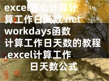 excel怎么計(jì)算計(jì)算工作日天數(shù) networkdays函數(shù)計(jì)算工作日天數(shù)的教程,excel計(jì)算工作日天數(shù)公式