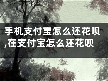 手機支付寶怎么還花唄,在支付寶怎么還花唄