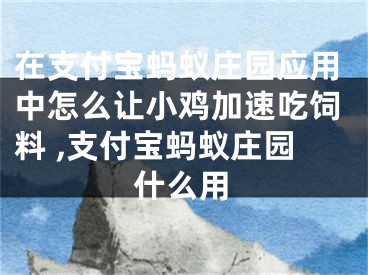 在支付寶螞蟻莊園應用中怎么讓小雞加速吃飼料 ,支付寶螞蟻莊園什么用