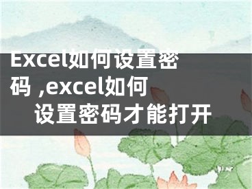 Excel如何設(shè)置密碼 ,excel如何設(shè)置密碼才能打開(kāi)