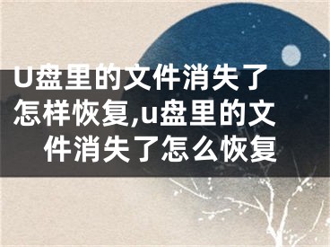 U盤里的文件消失了 怎樣恢復,u盤里的文件消失了怎么恢復