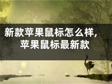 新款蘋(píng)果鼠標(biāo)怎么樣,蘋(píng)果鼠標(biāo)最新款