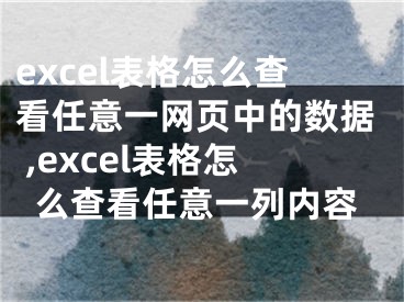 excel表格怎么查看任意一網頁中的數據 ,excel表格怎么查看任意一列內容