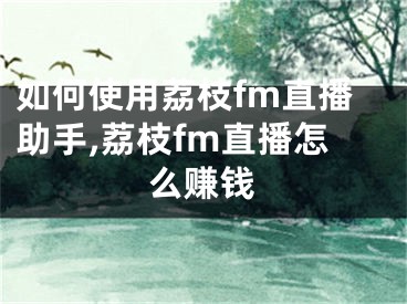 如何使用荔枝fm直播助手,荔枝fm直播怎么賺錢