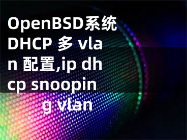 OpenBSD系統(tǒng) DHCP 多 vlan 配置,ip dhcp snooping vlan