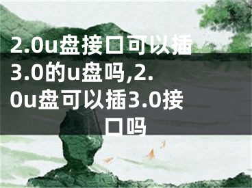 2.0u盤接口可以插3.0的u盤嗎,2.0u盤可以插3.0接口嗎