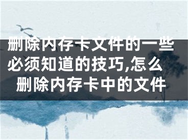 刪除內(nèi)存卡文件的一些必須知道的技巧,怎么刪除內(nèi)存卡中的文件