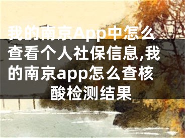 我的南京App中怎么查看個人社保信息,我的南京app怎么查核酸檢測結(jié)果