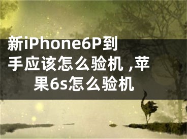 新iPhone6P到手應(yīng)該怎么驗機 ,蘋果6s怎么驗機