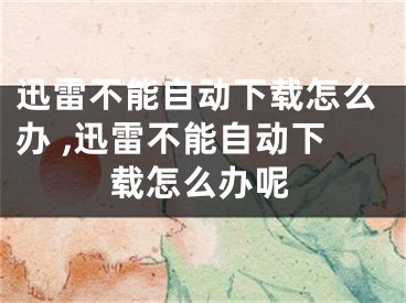 迅雷不能自動(dòng)下載怎么辦 ,迅雷不能自動(dòng)下載怎么辦呢