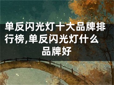 單反閃光燈十大品牌排行榜,單反閃光燈什么品牌好