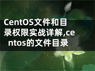 CentOS文件和目錄權(quán)限實(shí)戰(zhàn)詳解,centos的文件目錄