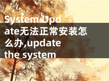 System Update無法正常安裝怎么辦,update the system