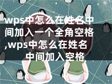 wps中怎么在姓名中間加入一個(gè)全角空格 ,wps中怎么在姓名中間加入空格