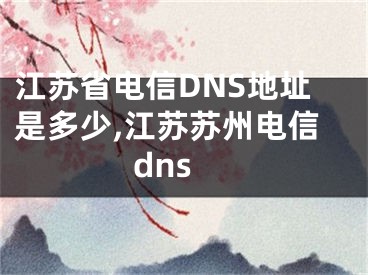 江蘇省電信DNS地址是多少,江蘇蘇州電信dns