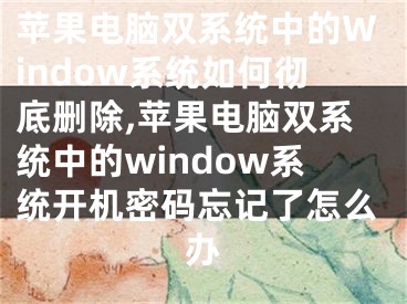 蘋果電腦雙系統(tǒng)中的Window系統(tǒng)如何徹底刪除,蘋果電腦雙系統(tǒng)中的window系統(tǒng)開(kāi)機(jī)密碼忘記了怎么辦