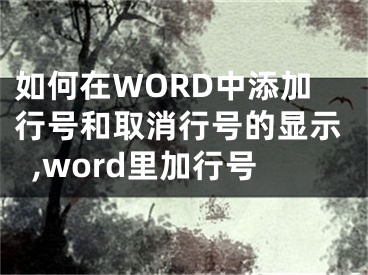 如何在WORD中添加行號(hào)和取消行號(hào)的顯示,word里加行號(hào)