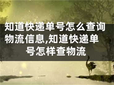 知道快遞單號怎么查詢物流信息,知道快遞單號怎樣查物流