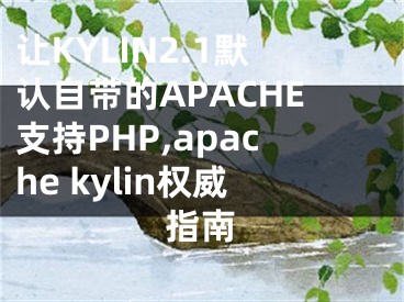 讓KYLIN2.1默認自帶的APACHE支持PHP,apache kylin權威指南