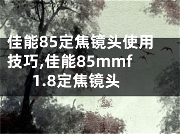 佳能85定焦鏡頭使用技巧,佳能85mmf1.8定焦鏡頭