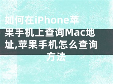 如何在iPhone蘋果手機上查詢Mac地址,蘋果手機怎么查詢方法