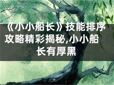 《小小船長(zhǎng)》技能排序攻略精彩揭秘,小小船長(zhǎng)有厚黑