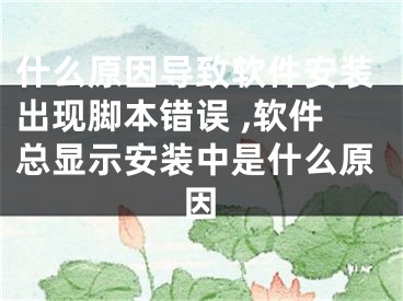 什么原因?qū)е萝浖惭b出現(xiàn)腳本錯(cuò)誤 ,軟件總顯示安裝中是什么原因